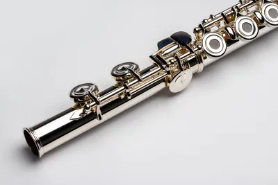 Pearl Flute Quantz PF-F525RE купить с гарантией снижения цены флейта в  интернет магазине Мир Музыки