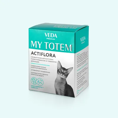 Старение кошек - основные признаки | Royal Canin UA