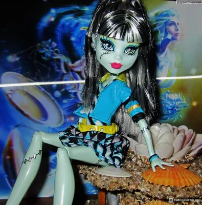 Монстер Хай Фрэнки Штейн Рок звезда Monster High Doll Amped Up Frankie  Stein Rockstar - купить с доставкой по выгодным ценам в интернет-магазине  OZON (1189105599)