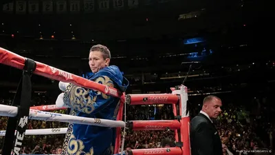 Геннадий Головкин | Boxing history, Boxing images, Ggg boxing