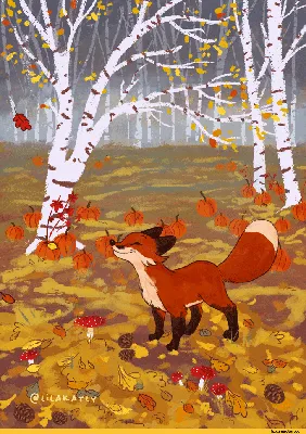 fox gif :: Лиса гифки :: Лиса :: automn :: fox :: lilakatly :: Осень ::  lilakatly :: gif :: fandoms :: гиф анимация (гифки - ПРИКОЛЬНЫЕ gif  анимашки) :: фэндомы / картинки, гифки, прикольные комиксы, интересные  статьи по теме.