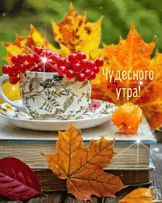 Гифки \"Доброе осеннее утро!\" (87 шт.)