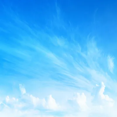 File:Just a tree against the background of blue sky. (Просто дерево на фоне голубого  неба.) - panoramio.jpg - Wikipedia