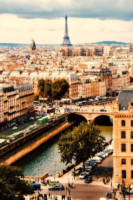 Обои Paris, France Города Париж (Франция), обои для рабочего стола,  фотографии paris, france, города, париж, франция, eiffel, tower, эйфелева,  башня Обои для рабочего стола, скачать обои картинки заставки на рабочий  стол.