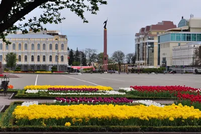 День города Ставрополя и Ставропольского края