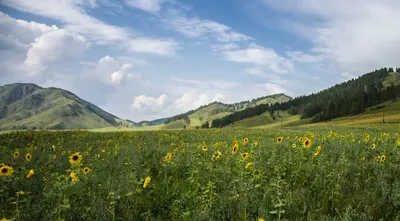 Горы Алматы - география, туризм, все маршруты