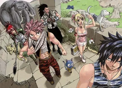 Your thoughts? [manga] : r/fairytail