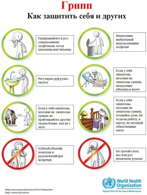 Простуда, грипп или ОРВИ? - Официальный сайт Кузбасского ГАУ