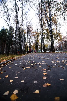 Когда на душе печаль » Детский хоспис