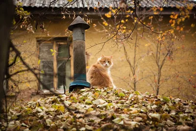 Печаль на сердце и грусть в душе… | Instagram