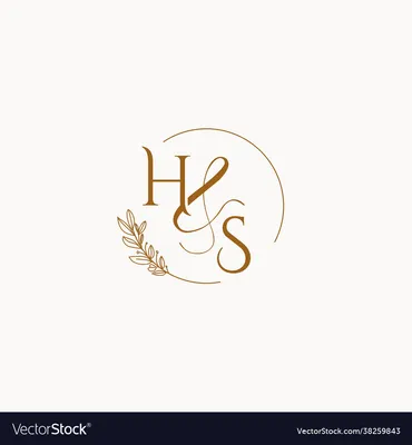 Hs initial wedding monogram logo Royalty Free Vector Image