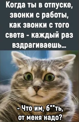 Правила папы дома и на работе. смешной позитивный прикольный подарок любому  отцу папочке. всегда радует глаз сделано с любовью Правила папы черный -  купить по выгодной цене в интернет-магазине OZON (884069971)