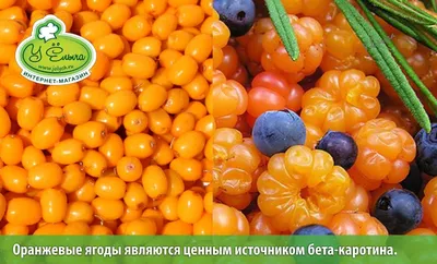 Вкусно и полезно. С чем лучше сочетать ягоды? - РИА Новости, 10.07.2021