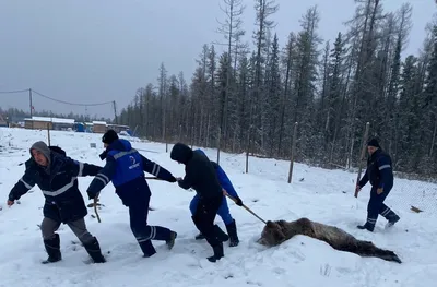 Якутия спустилась вниз в рейтинге уровня жизни в регионах - Новости Якутии  - Якутия.Инфо