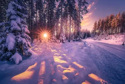 Обои на рабочий стол Sokna, Norway / Sokna, Норвегия, зимний день в январе,  фотограф Ole Henrik Skjelstad, обои для рабочего стола, скачать обои, обои  бесплатно