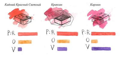 разноцветные смешанные цветы на белом фоне, бордюр с цветами, Рамка,  граница фон картинки и Фото для бесплатной загрузки