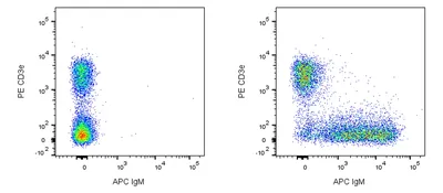 Researchers find that IgM antibody could protect against HIV-1