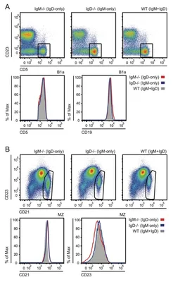 Total antibody (IgG and IgM) SARS-CoV-2 N protein ELISA Kit Elisa Kit  KE30005 | Proteintech