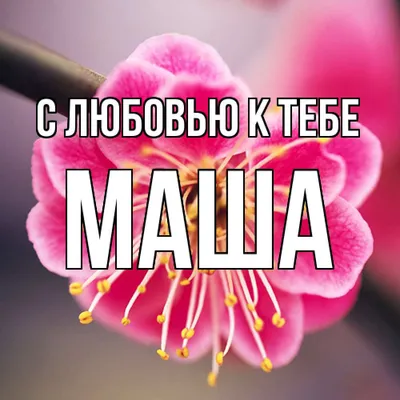 Открытка с именем Маша Спасибо за поздравления. Открытки на каждый день с  именами и пожеланиями.