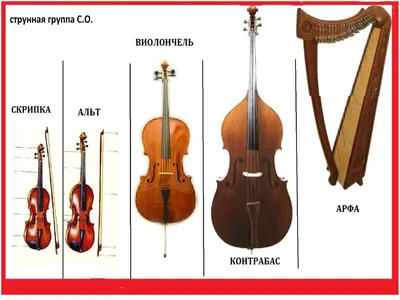 Картинки инструментов симфонического оркестра фотографии