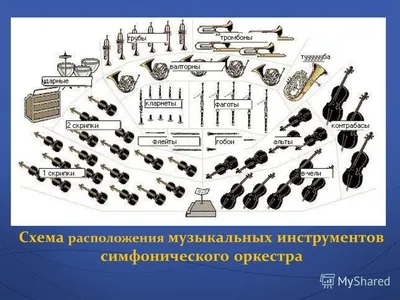 Инструменты симфонического оркестра