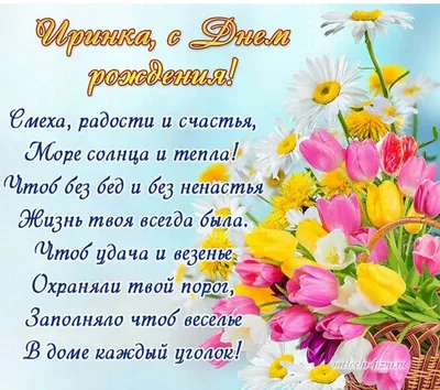 Сегодня у Ирины ( котик Шустрик) день рождения. — обсуждение в группе  \"Разговоры обо всем\" | Птичка.ру