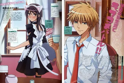 Kaichou wa Maid-sama! / Аниме