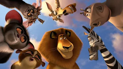 Обои Мадагаскар 3 Мультфильмы Madagascar 3: Europe`s Most Wanted, обои для  рабочего стола, фотографии мадагаскар, мультфильмы, madagascar, europe`s,  most, wanted, 3 Обои для рабочего стола, скачать обои картинки заставки на  рабочий стол.