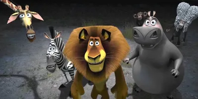 Обои Madagascar 3: Europe`s Most Wanted Мультфильмы Madagascar 3: Europe`s  Most Wanted, обои для рабочего стола, фотографии madagascar, europe`s,  most, wanted, мультфильмы, мадагаскар, 3 Обои для рабочего стола, скачать  обои картинки заставки