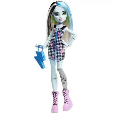 История Monster High. Школа Монстров - Куклы Monster High и Ever After High  - Монстер Хай и Эвер Афтер Хай | Бэйбики - 94874