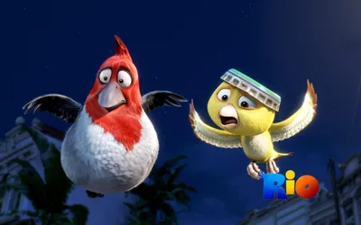 Игрушки плюшевые в виде попугая из мультфильма «Rio 2», 30 см | AliExpress