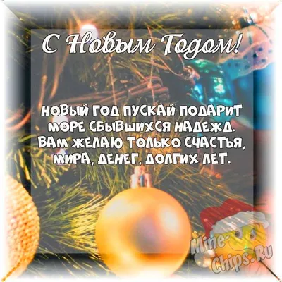 За что девочка расстреляла одноклассников: Самый страшный кошмар любого  родителя сбылся в Брянске | Царьград.Спорт | Дзен