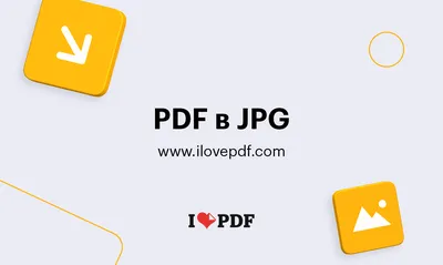 Convert WEBP to JPG online for free