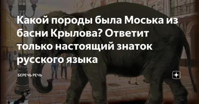 Нарисовать рисунок к басне слон и моська - подборка