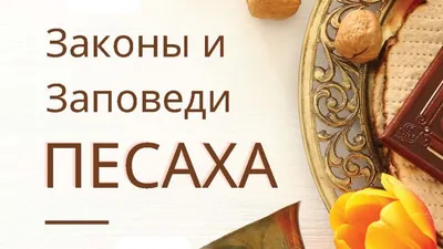 Новини / Вітання голови ОДА О.В.Старуха єврейської спільноти області з  нагоди свята Песах