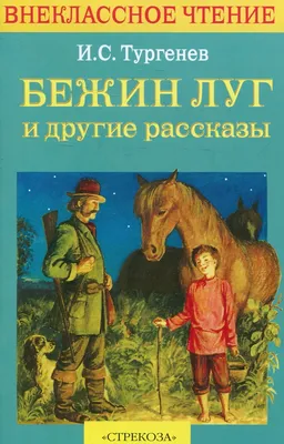 Бежин луг»: краткое содержание и анализ произведения