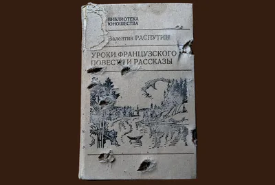 Иллюстрация В. Распутин, Уроки французского 3 в стиле декоративный,