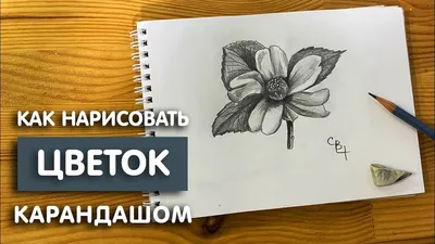 Пин от пользователя Trena Porter на доске roses | Рисунок, Рисунок  карандашом, Рисование