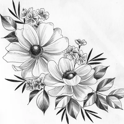 Тюльпаны цветы рисунок карандашом скетчинг | Flower art drawing, Line art  drawings, Art drawings simple