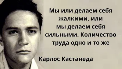 литра.онлайн - Карлос Кастанеда Карлос Кастанеда - американский писатель,  доктор философии по антропологии, этнограф, мыслитель эзотерической  ориентации и мистик, автор 12 томов книг-бестселлеров, разошедшихся тиражом  в 28 миллионов экземпляров на 17 ...