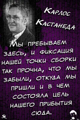 Искусство сновидения. Активная сторона бесконечности | Кастанеда Карлос  Сезар Арана - купить с доставкой по выгодным ценам в интернет-магазине OZON  (231648395)