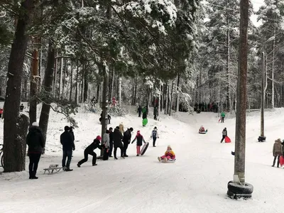 Катания с горки — ГБОУ СОШ с.Шигоны Официальный сайт