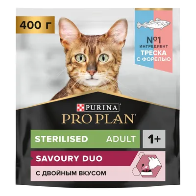 Корм для стерилизованных котов и кошек, Royal Canin Sterilised 37, в  возрасте от 1 года до 7 лет купить с доставкой в интернет-магазине  зоогастроном.ру