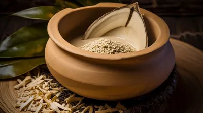 How Great Kava Powders are Made: Processing Steps (and Why Each One  Matters) — The Kava Society