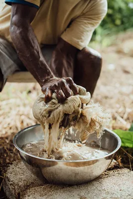 The Ultimate Guide to Kava: History, Benefits, and Uses