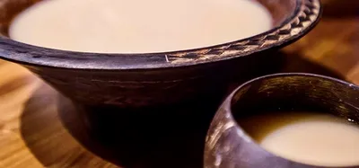 What's the Best Kava? What's the Best Kava Cultivar? — The Kava Society