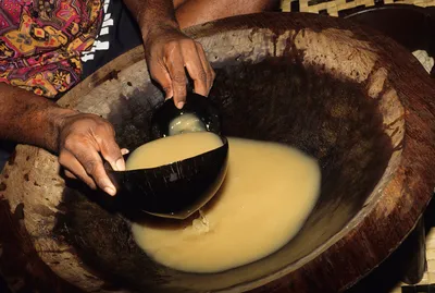 The Significance of the Kava Bowl - Root of Happiness – Root Of Happiness