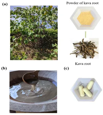 Kava Kava Extract