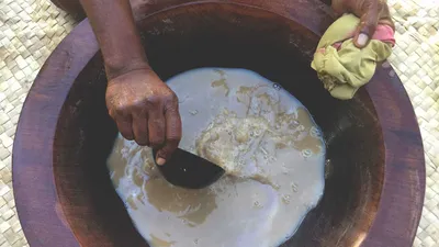 Get to Know Kava, the Relaxing National Drink of Fiji | Wine Enthusiast