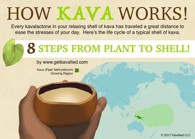 Kava Sol I Non-Alcoholic Botanical Bar (@kava_sol) • Instagram photos and  videos